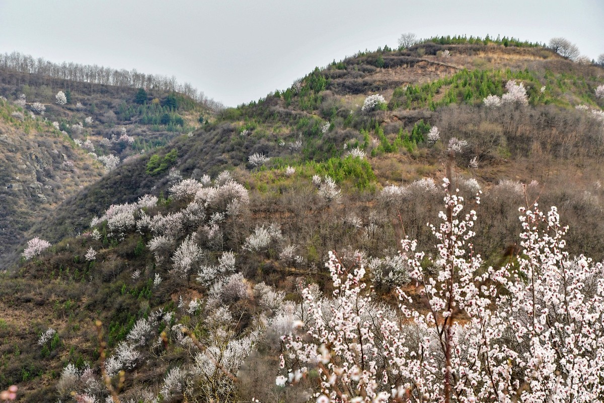 我只是把出去看到的随手记录下来（148）