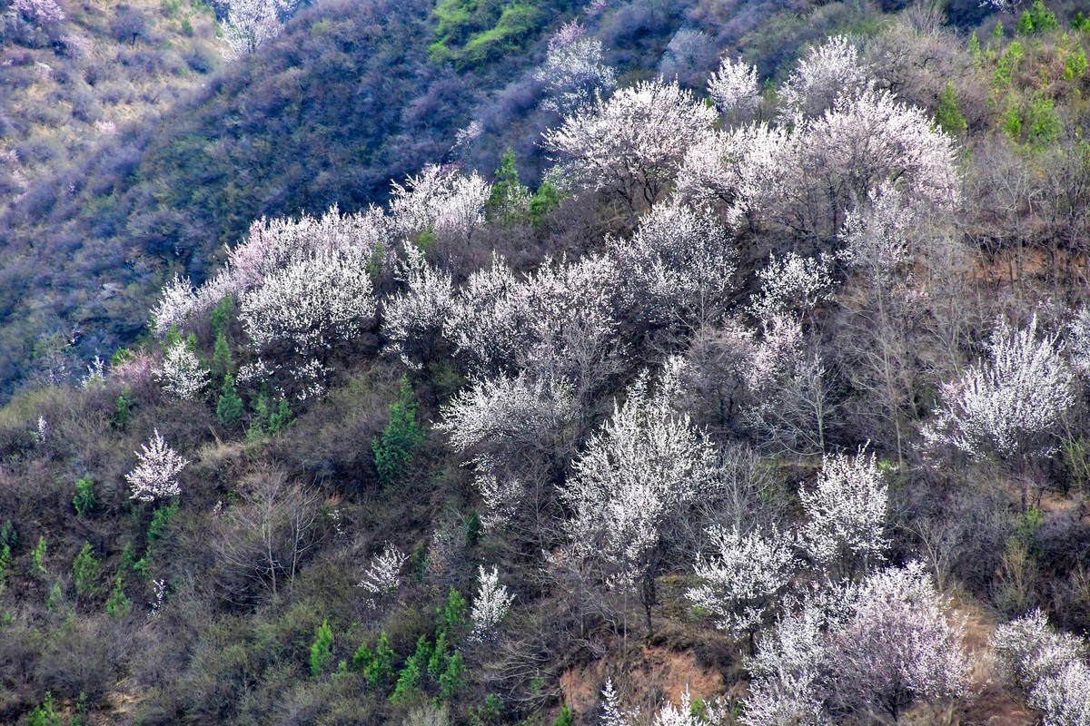 我只是把出去看到的随手记录下来（148）
