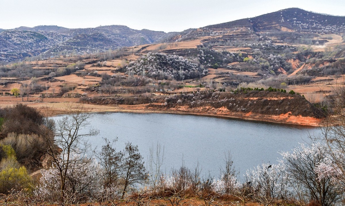 我只是把出去看到的随手记录下来（148）