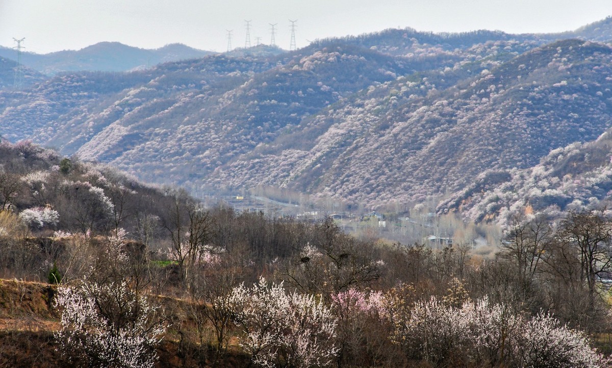 我只是把出去看到的随手记录下来（148）