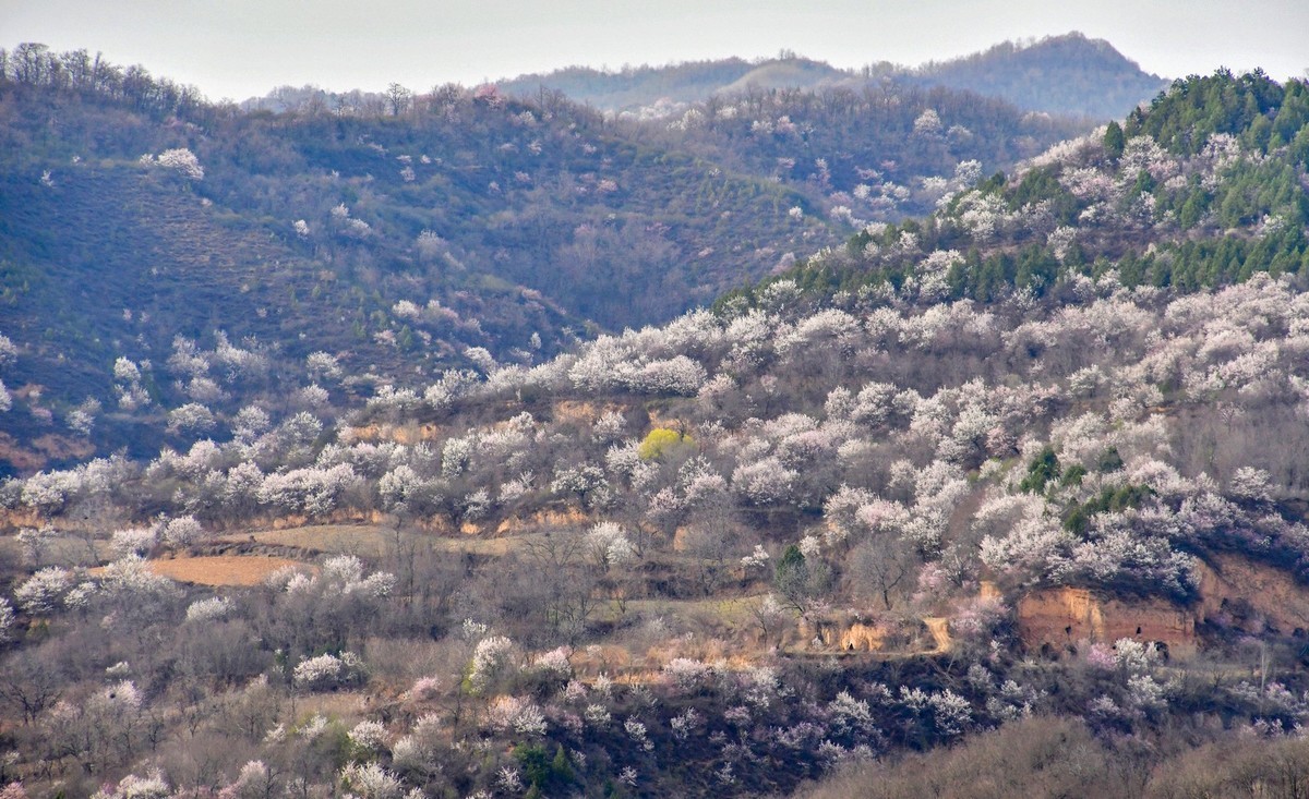 我只是把出去看到的随手记录下来（148）