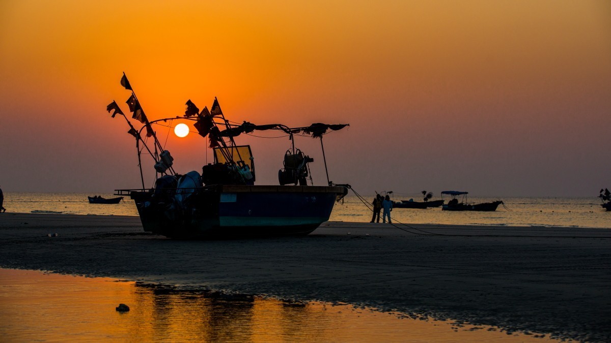 外出随拍（续351）.