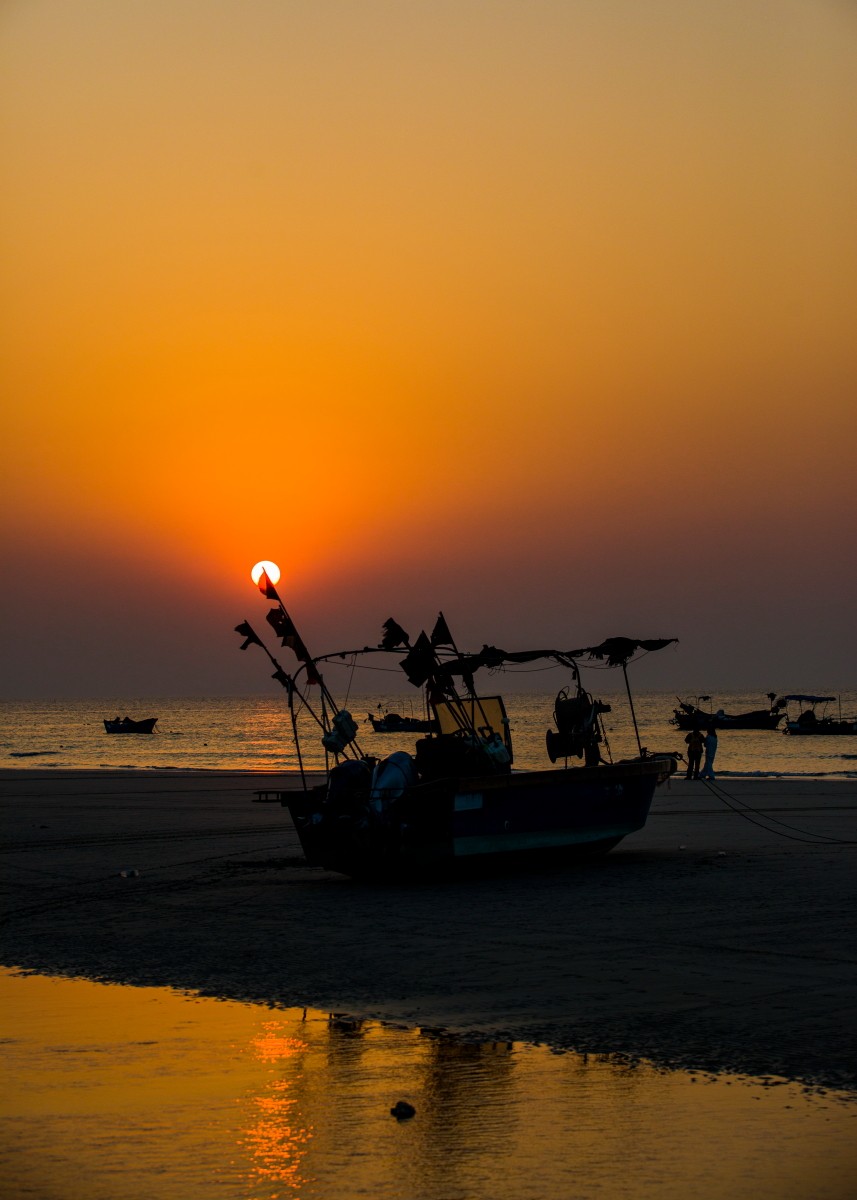 外出随拍（续351）.