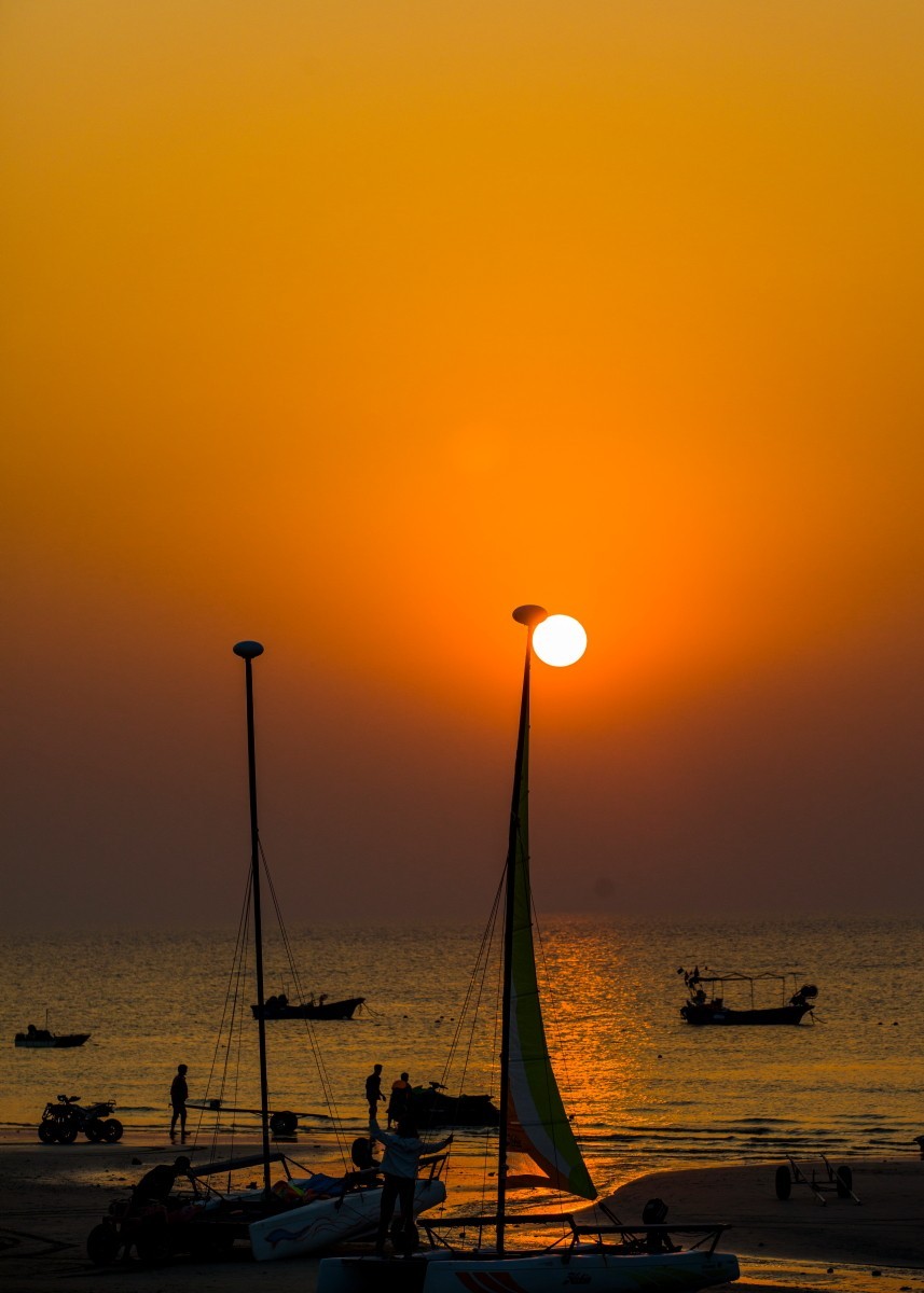 外出随拍（续351）.