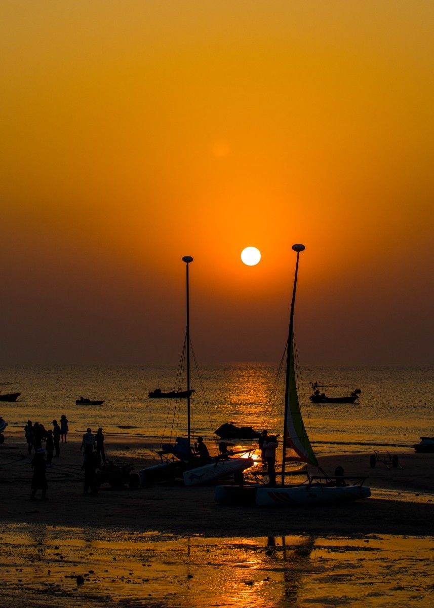 外出随拍（续351）.