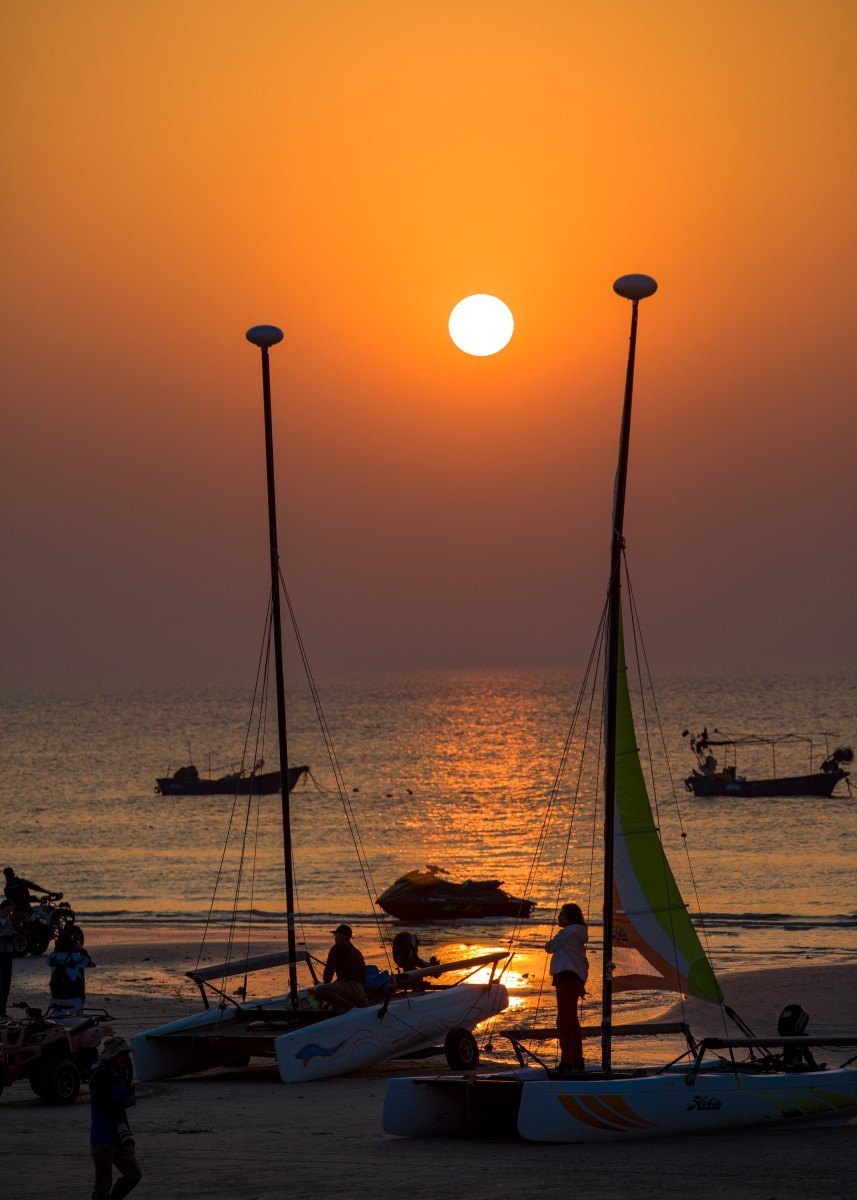 外出随拍（续351）.