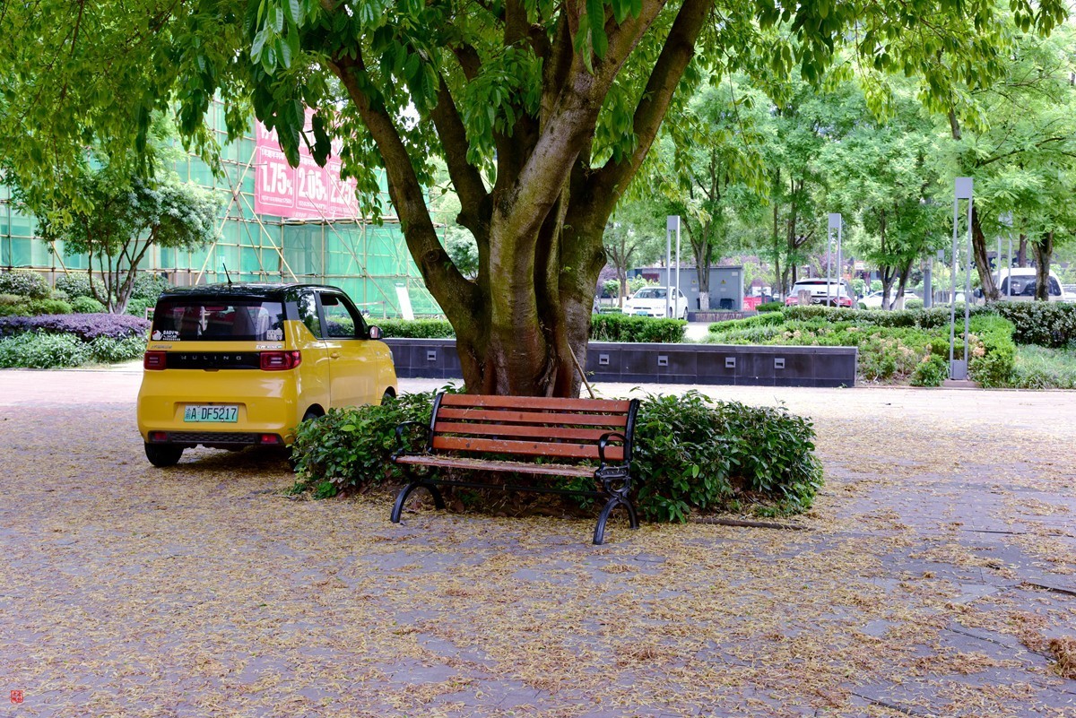 大足海棠湖公园（5）