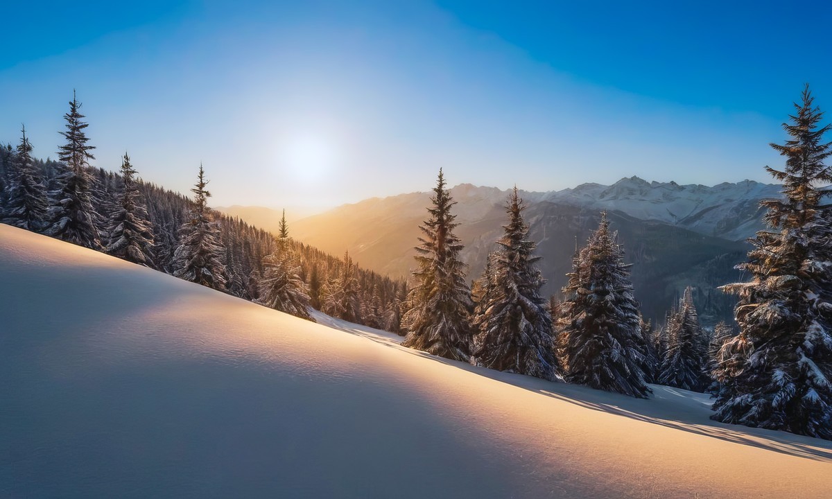 大自然的神秘与美丽