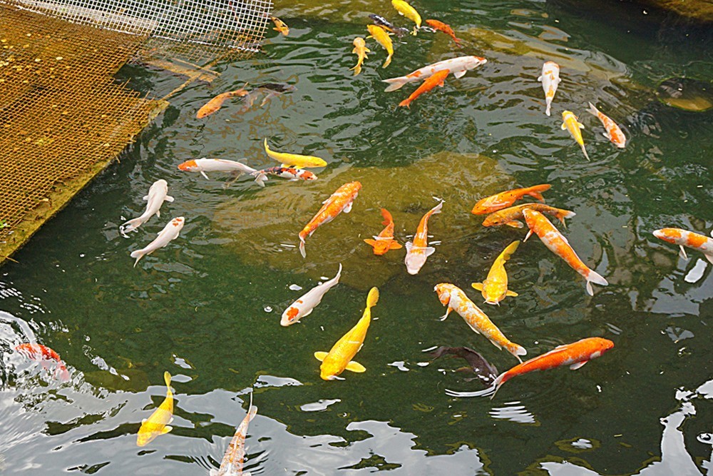 龙虎山景区  古越水街（二）