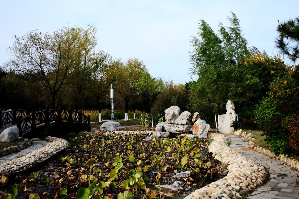 魂断香消泪不成，且留傲骨伴舟横