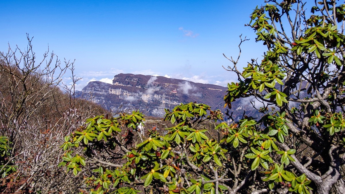 光雾山金秋行【7】
