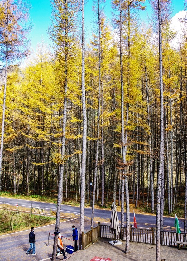 光雾山金秋行【7】