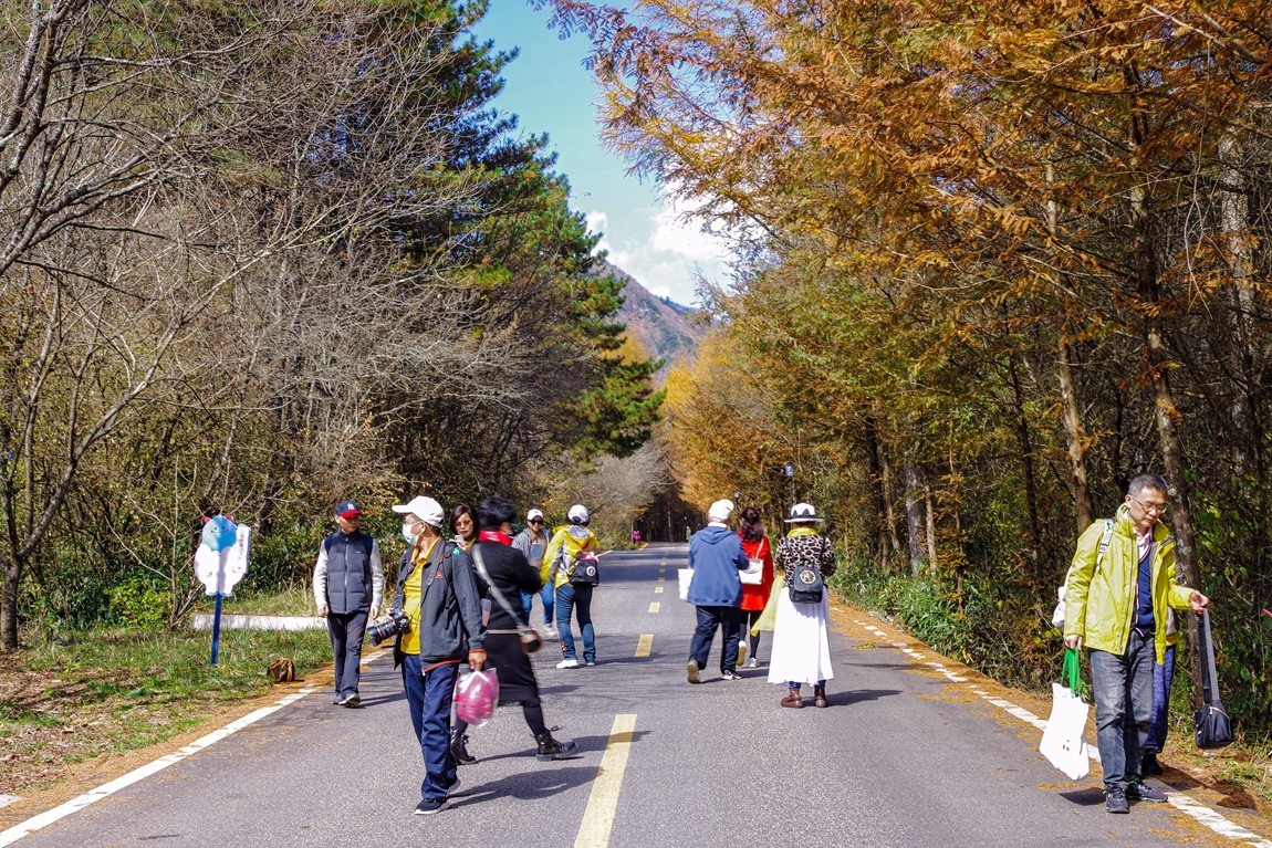 光雾山金秋行【7】