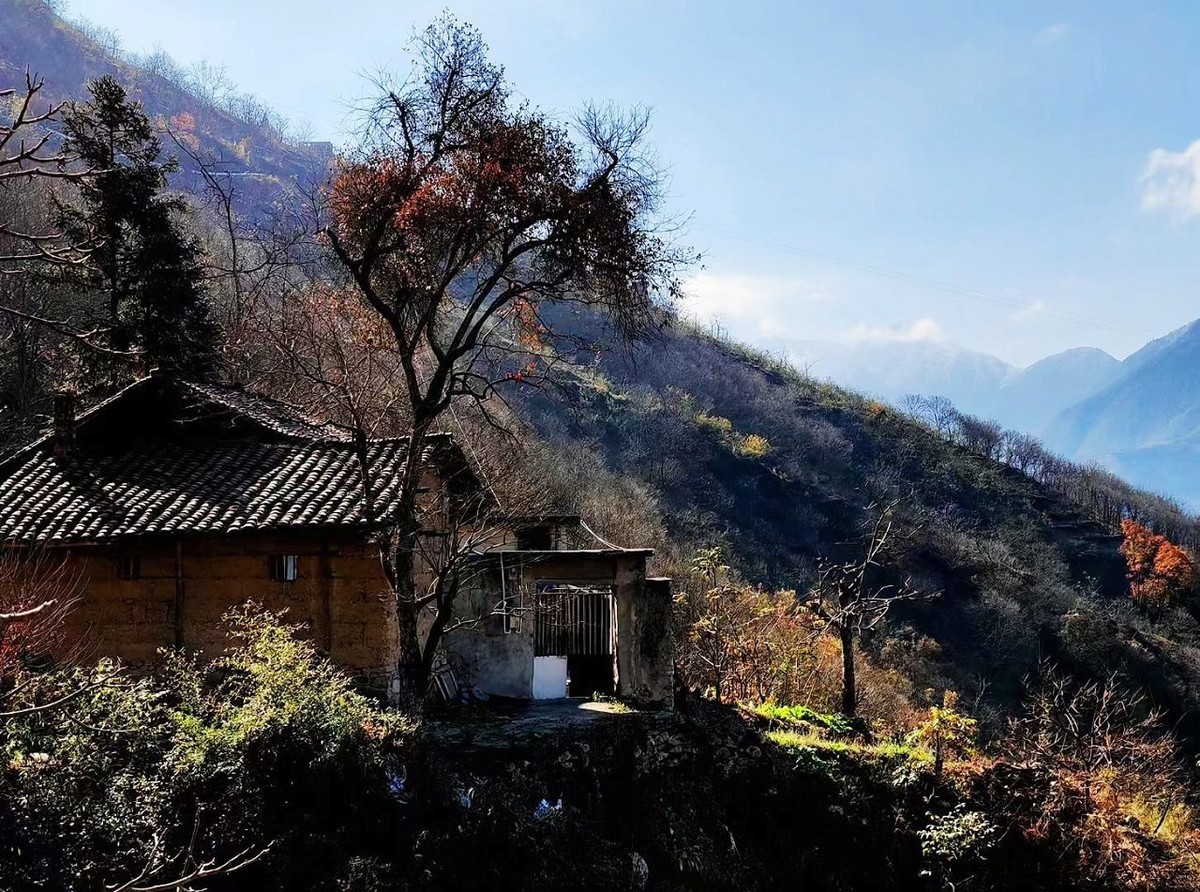 山村-中关村在线摄影论坛