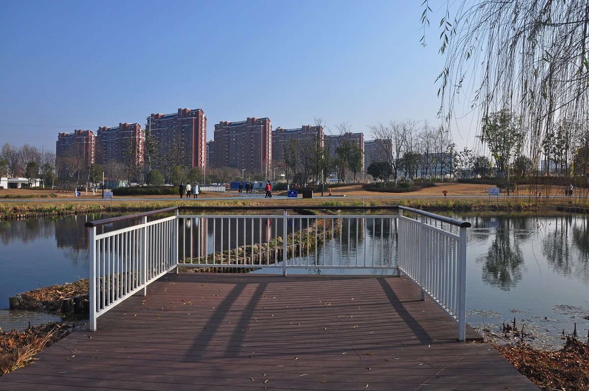 江东水生态湿地公园一期