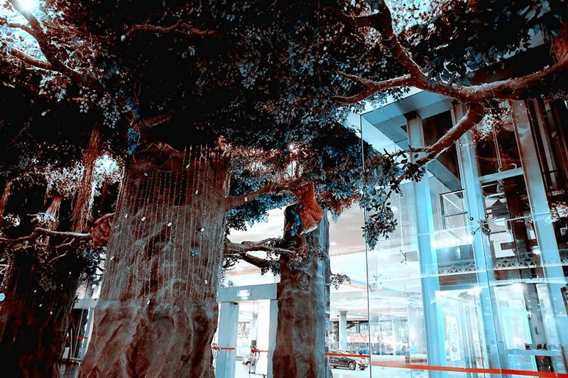 【不老松：游摄异国风情：新、马、泰！】（138）云顶高原 (2)