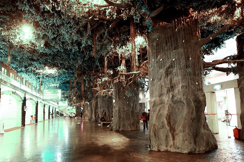 【不老松：游摄异国风情：新、马、泰！】（138）云顶高原 (2)