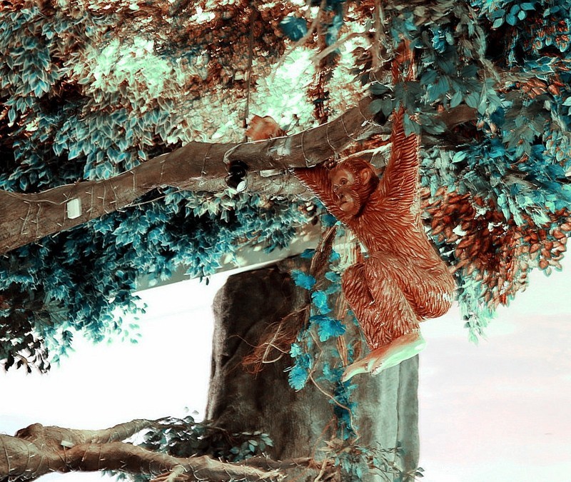 【不老松：游摄异国风情：新、马、泰！】（138）云顶高原 (2)