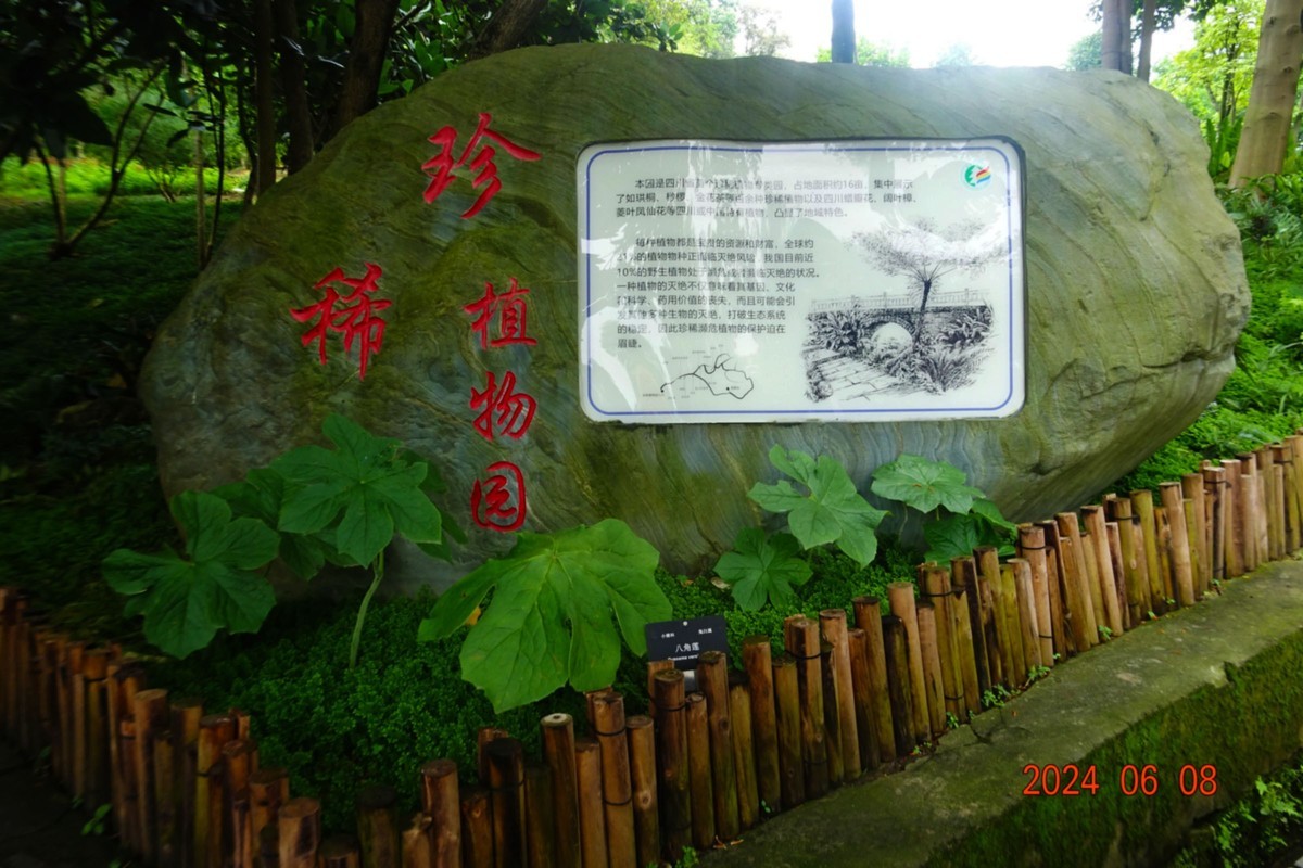 观赏植物园珍稀植物