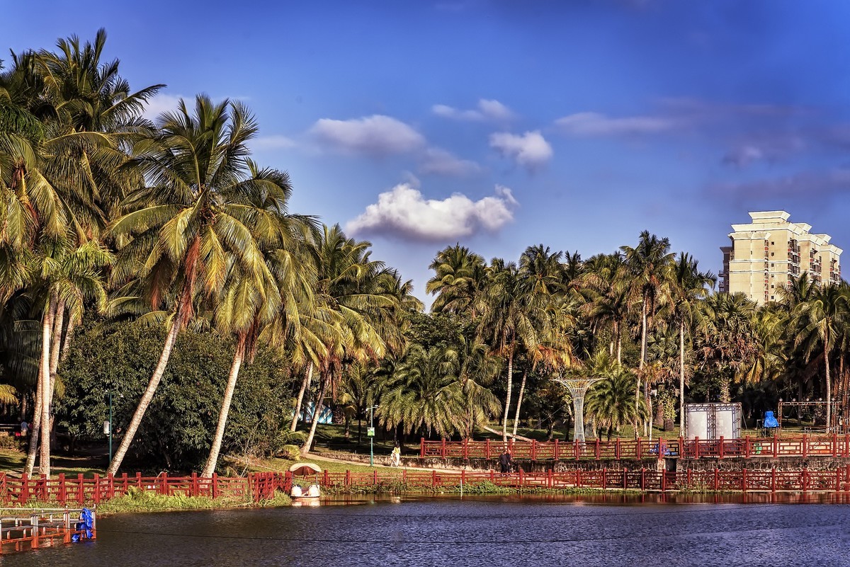 椰子之乡-文昌-椰子大观园（2）