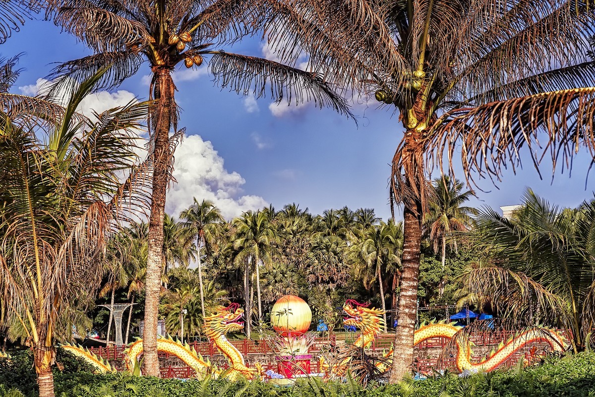 椰子之乡-文昌-椰子大观园（2）