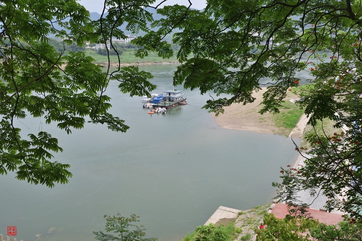 收了支二手尼康AF-S18-35f3.5-4.5G镜头(新银广)试镜3