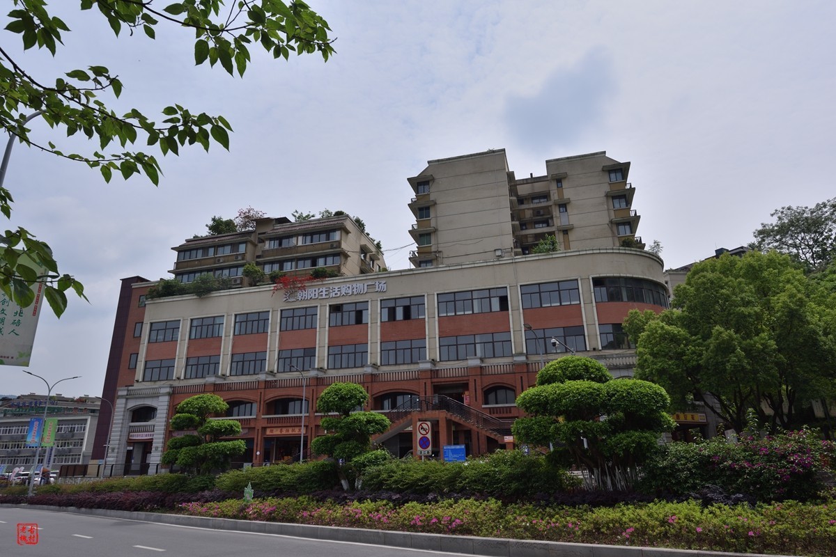 收了支二手尼康AF-S18-35f3.5-4.5G镜头(新银广)试镜3