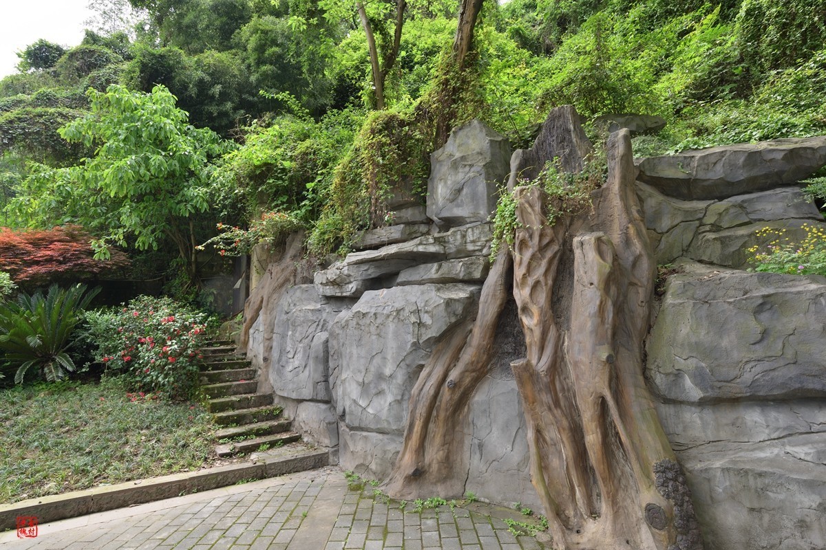 收了支二手尼康AF-S18-35f3.5-4.5G镜头(新银广)试镜3