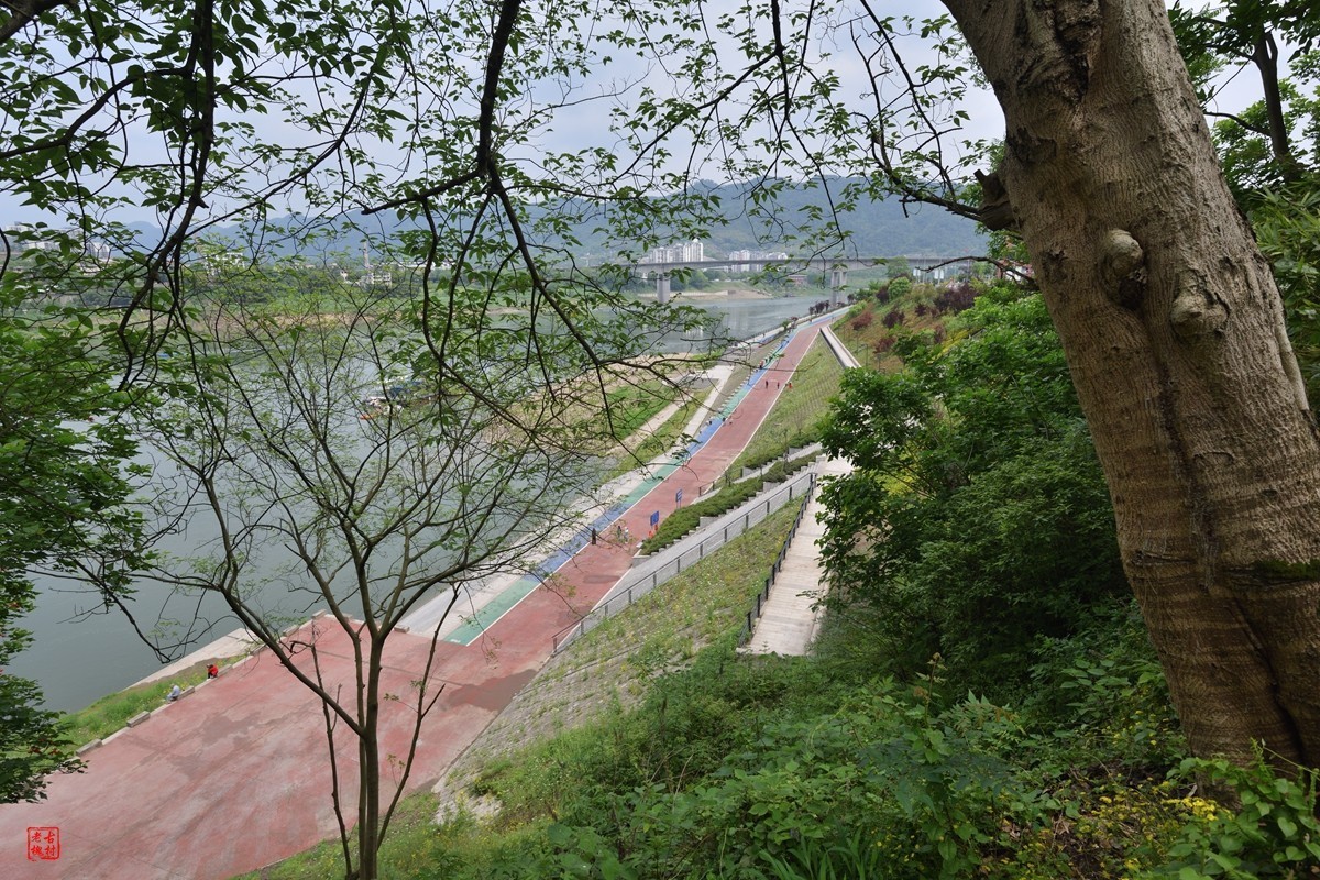 收了支二手尼康AF-S18-35f3.5-4.5G镜头(新银广)试镜3