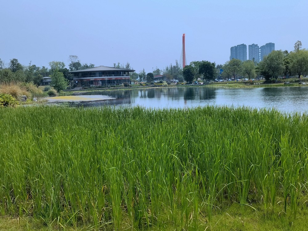 成都桂溪生态公园