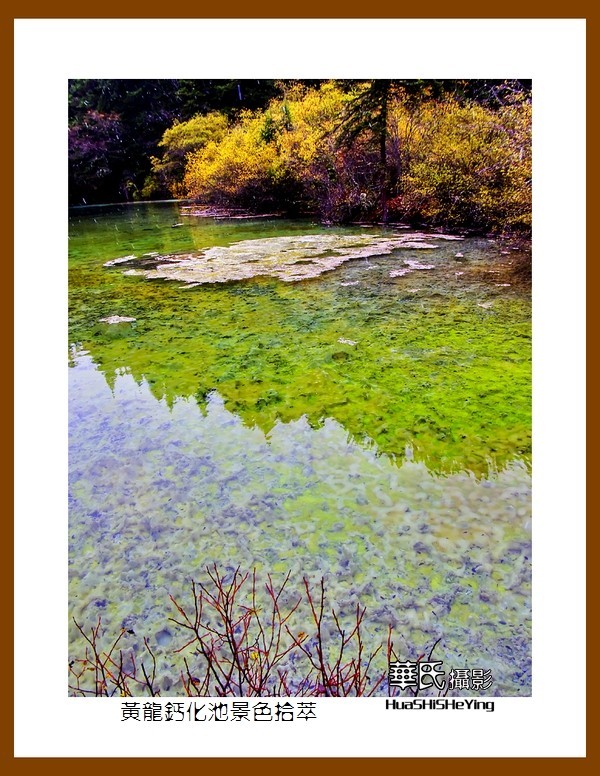 2020西西南北行游走川西206——黄龙钙化池景色拾萃（阿坝州松潘县）