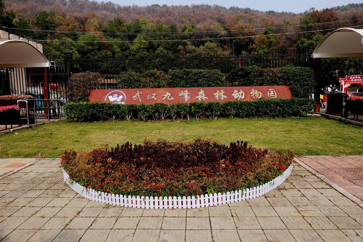 武汉映像九峰森林动物园拾影
