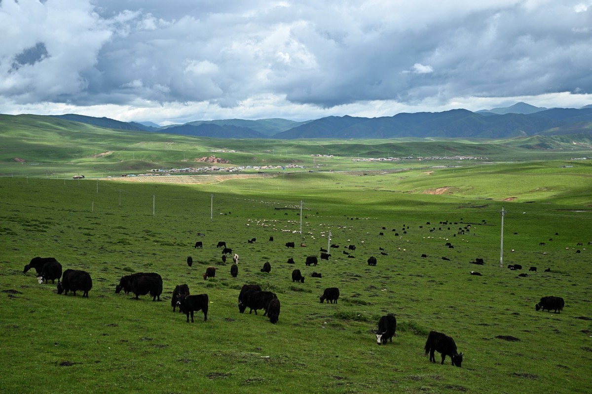 恭喜好友全红荣任安阳星空(中国)版主