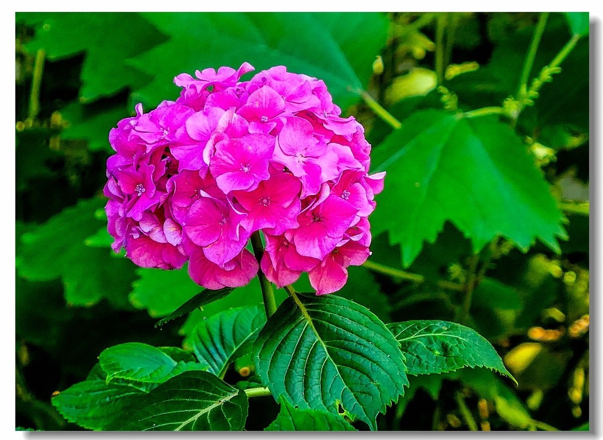 公园光影（南德）