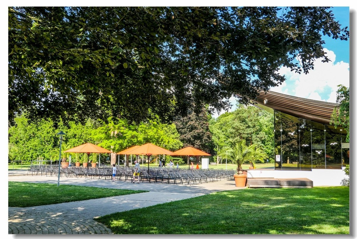 公园光影（南德）