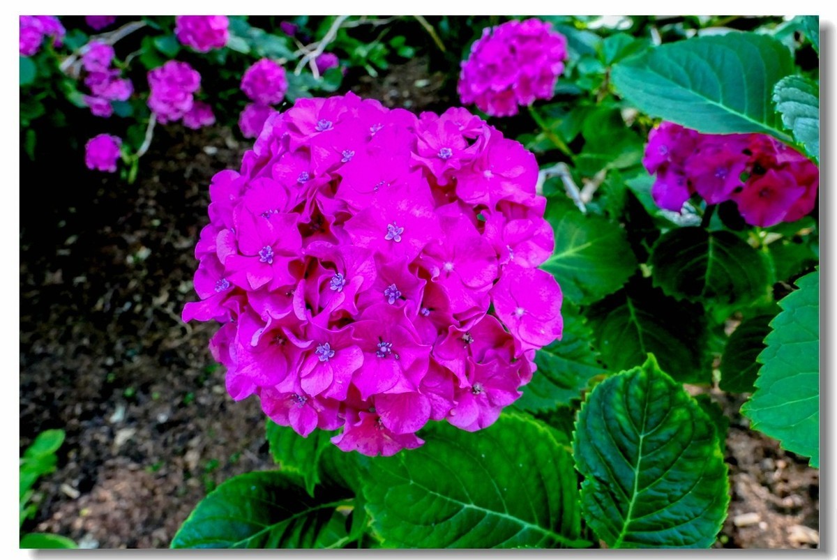 公园光影（南德）