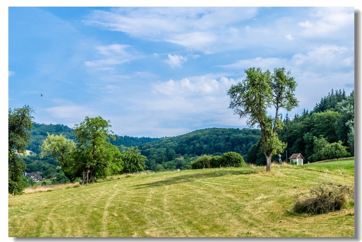 山野游拍（南德）