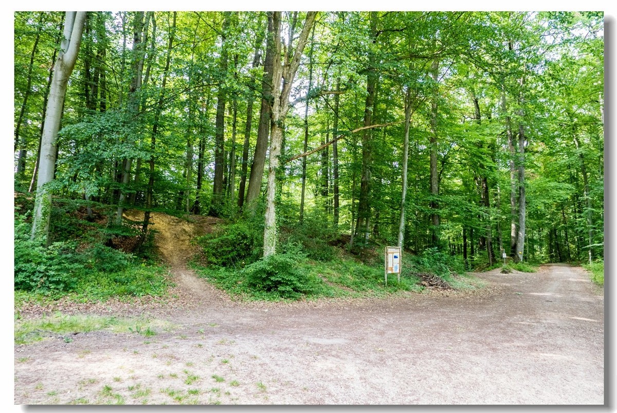 山野游拍（南德）