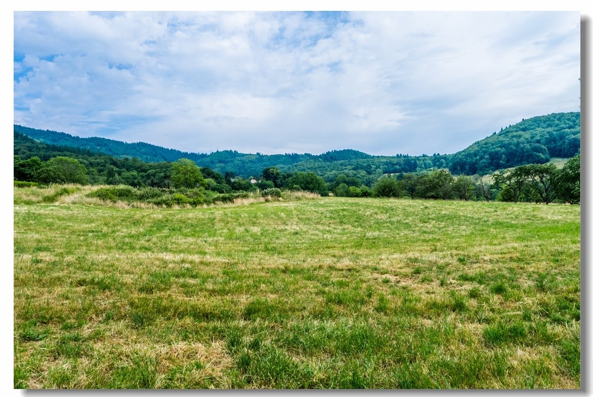 山野游拍（南德）