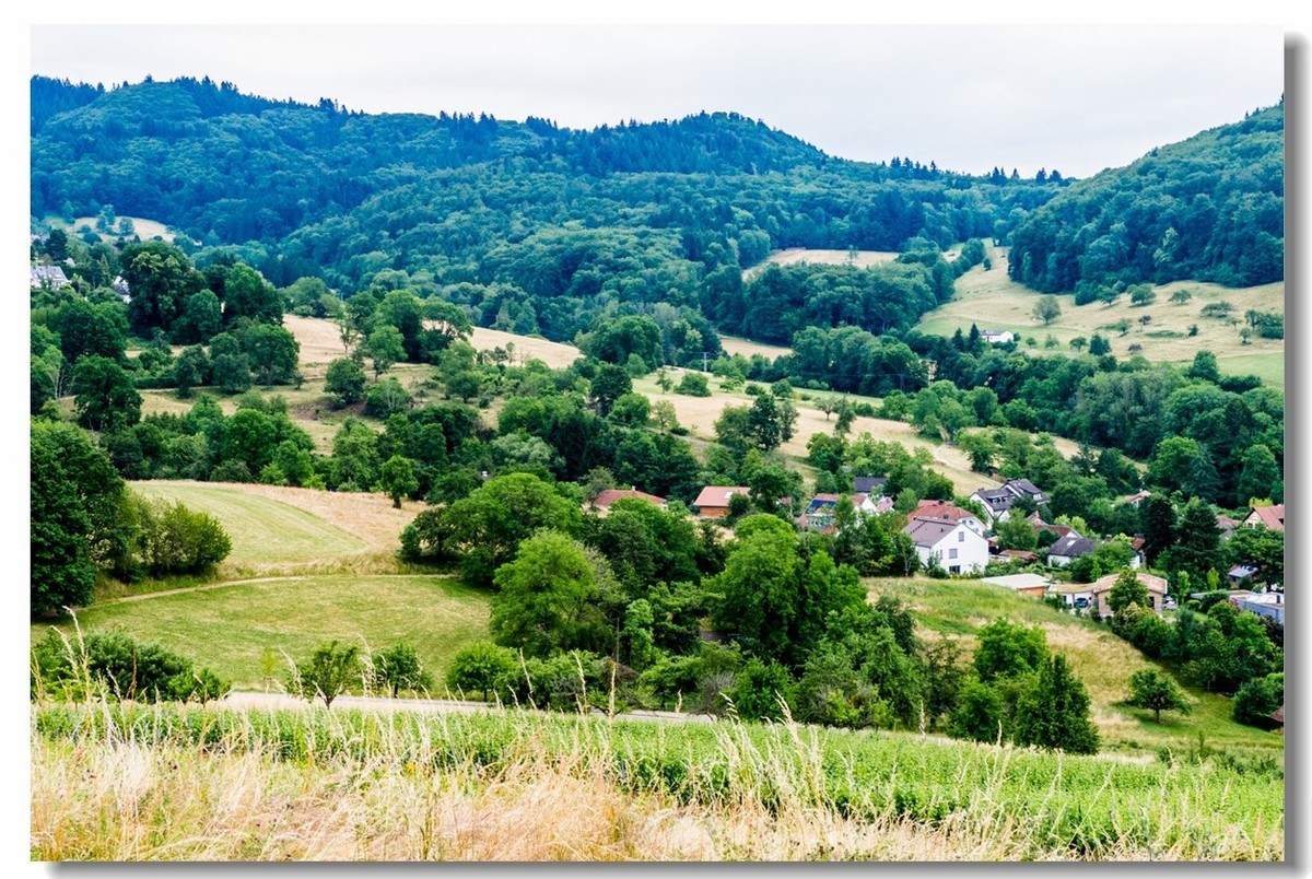 山野游拍（南德）