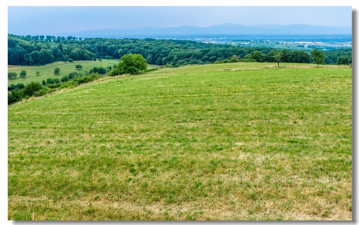 山野游拍（南德）