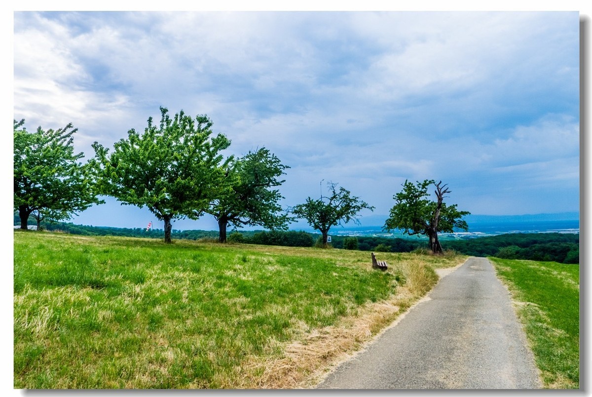 山野游拍（南德）