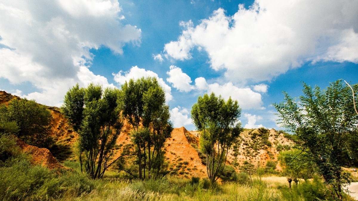 榆林一麻黄梁黄土地质公园（续一）