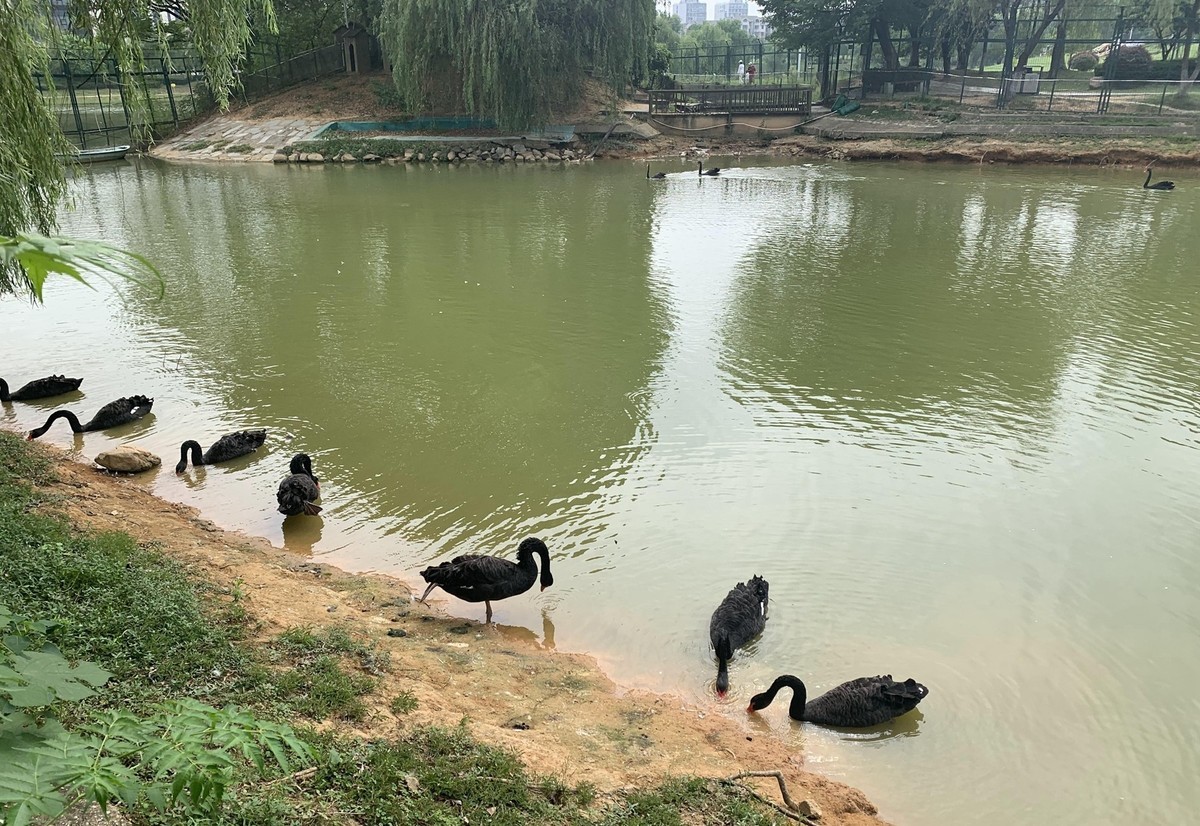 中南大学新校区2[手机版]