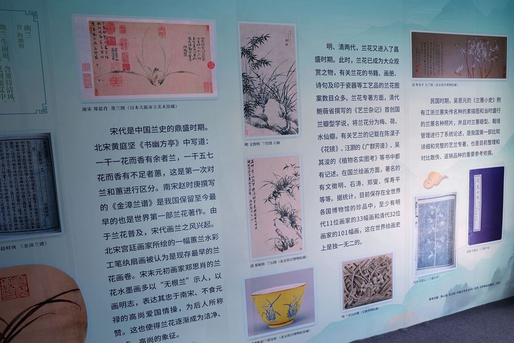 国家植物园第二届兰花展盆景园之国兰