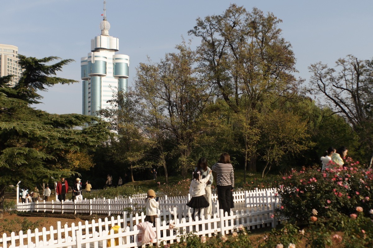 滨城游拍——劳动公园（2024-1）