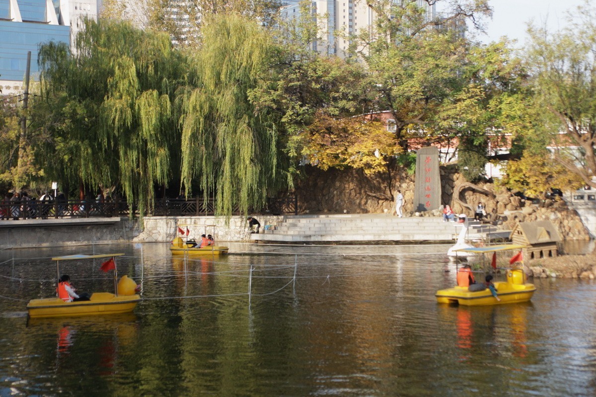 滨城游拍——劳动公园（2024-1）