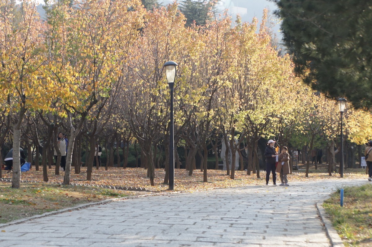 滨城游拍——劳动公园（2024-1）