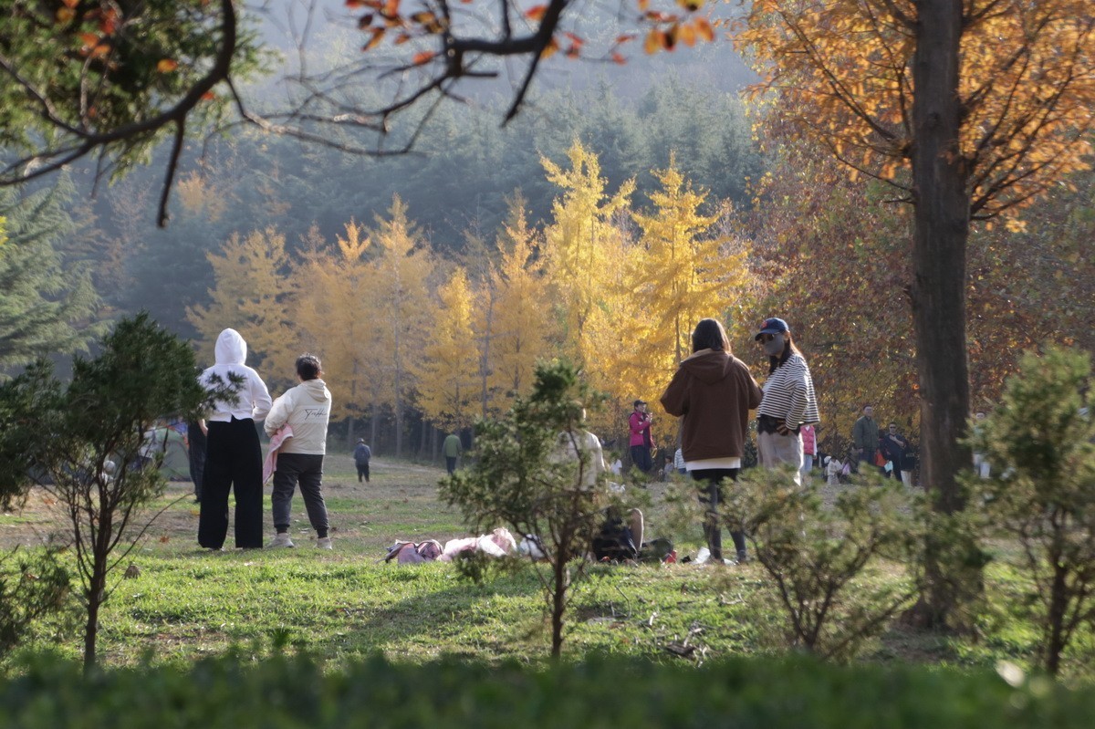 滨城游拍——劳动公园（2024-1）