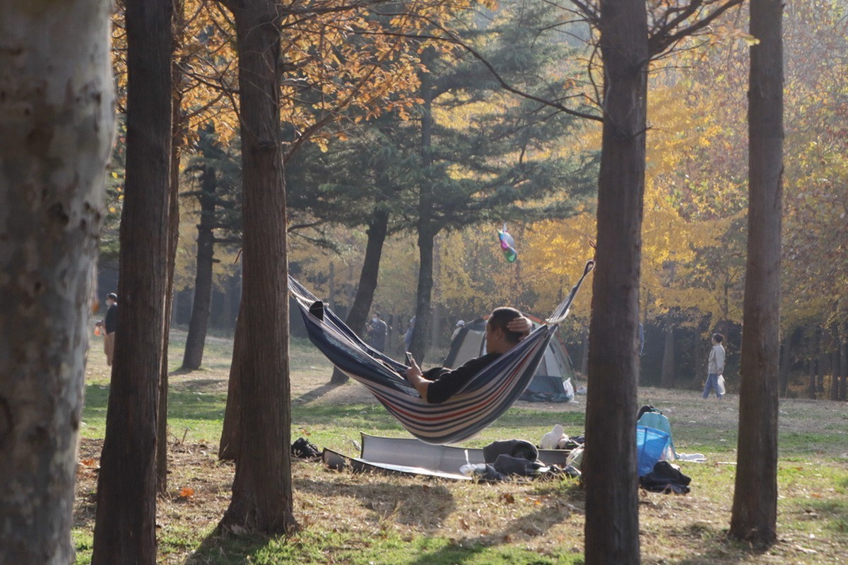 滨城游拍——劳动公园（2024-1）